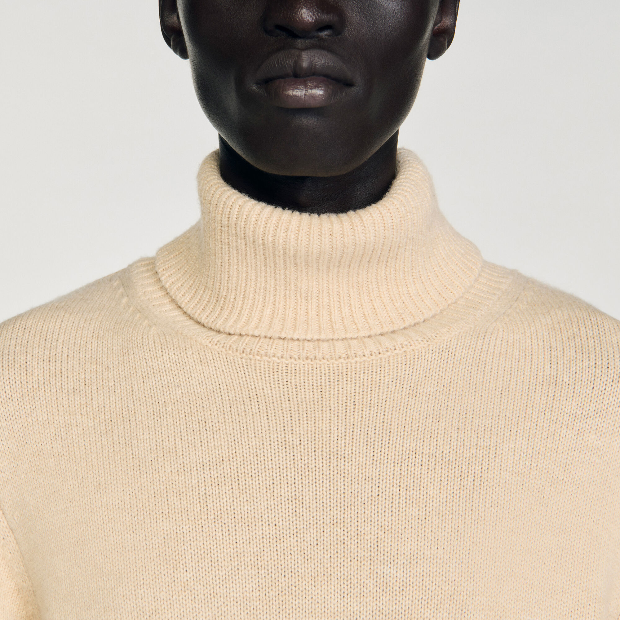 Wool and cashmere turtleneck jumper
